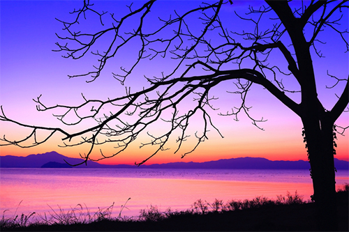 Lake Country