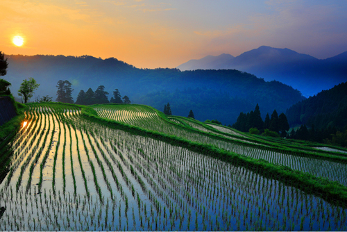 福祉作業所の風景
