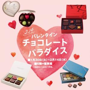 チョコレートパラダイス